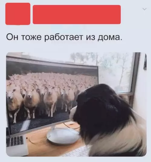 Смешная картинка №509630