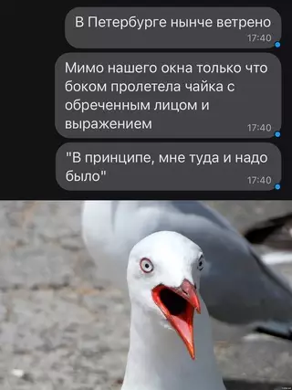 Смешная картинка №660550
