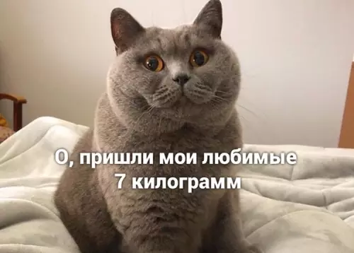 Смешная картинка №504925