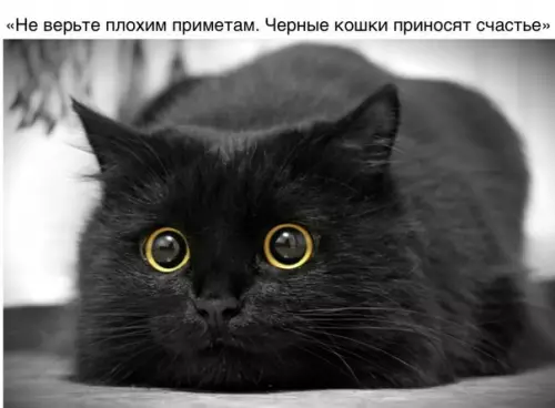 Смешная картинка №264369