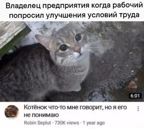 Смешная картинка №802248