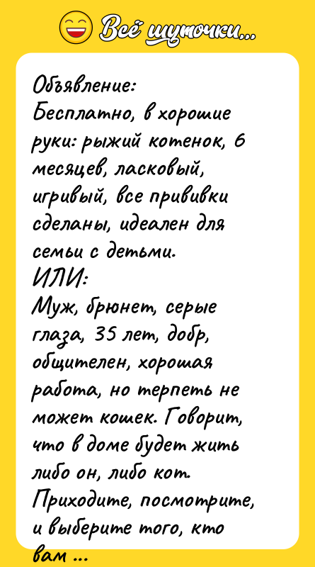Объявление: Бесплатно, в хорошие руки: рыжий котенок, 6 месяцев, ласковый,