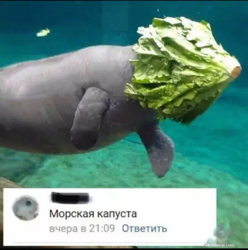 Смешная картинка №316245