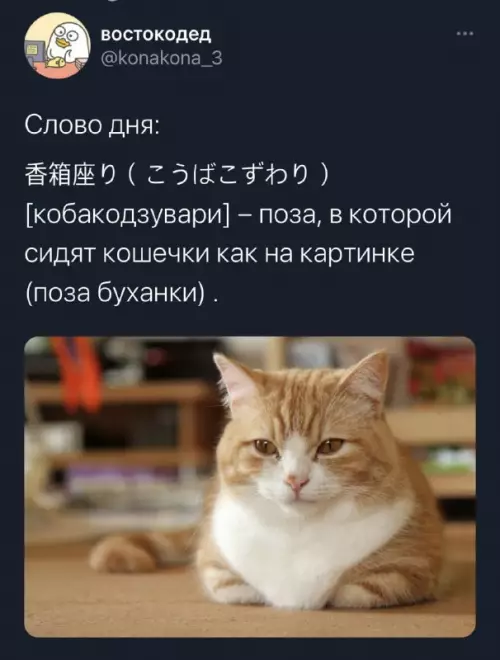 Смешная картинка №671872