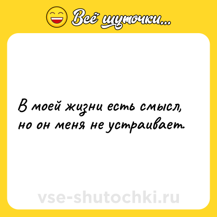 Шутка: В моей жизни есть смысл, но он меня не устраивает.