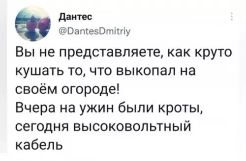 Меню от дачного шефа 🥕⚡️ - Вы не представляете, как круто кушать то, что выкопал на