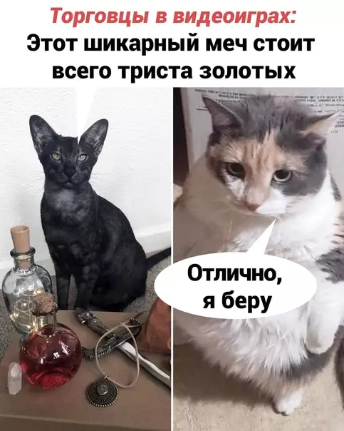 Смешная картинка №571916
