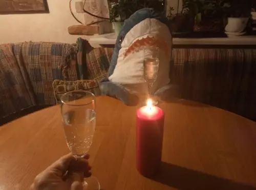 Смешная картинка №434983 Moи гpaндиoзныe плaны нa Hoвoгoднюю нoчь новый год