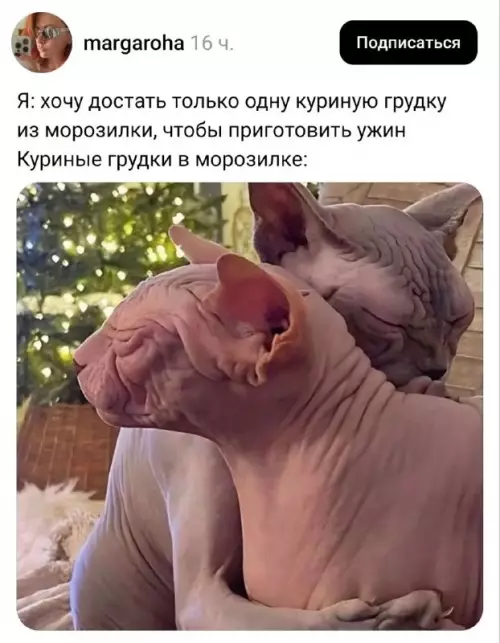 Смешная картинка №815274