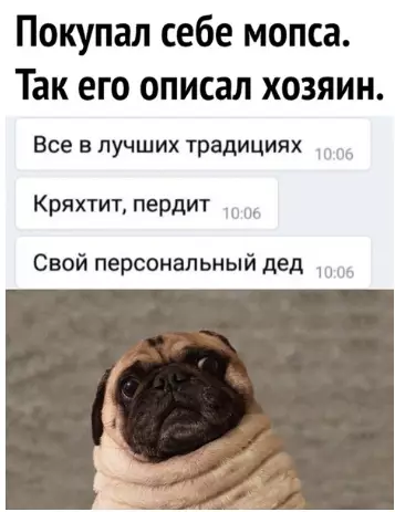 Смешная картинка №380326 хмм