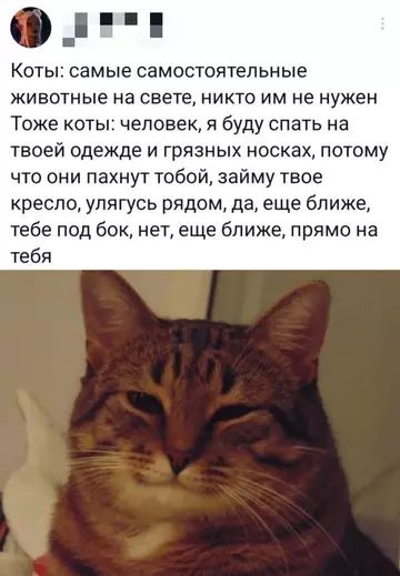 Смешная картинка №766577