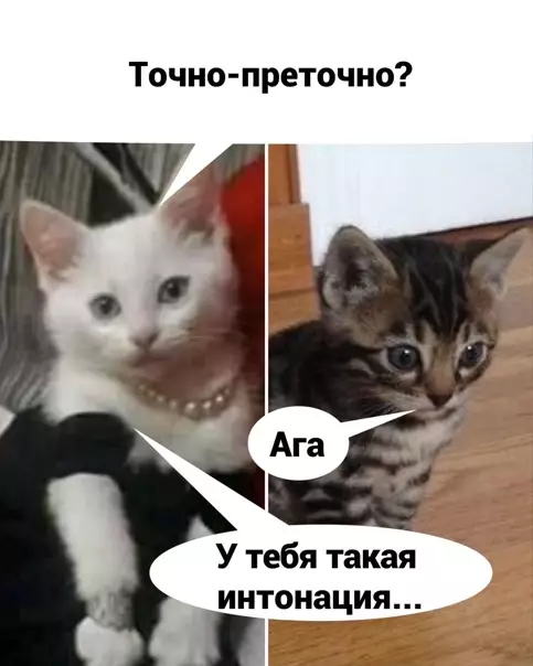 продолжение Смешная картинка №562473