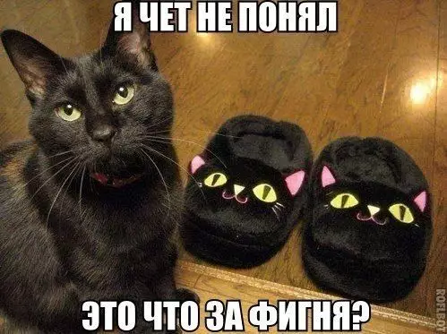 Смешная картинка №445777