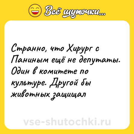 Шутка: Странно, что Хирург с Паниным ещё не депутаты. Один в комитете по культуре. Другой бы животных защищал
