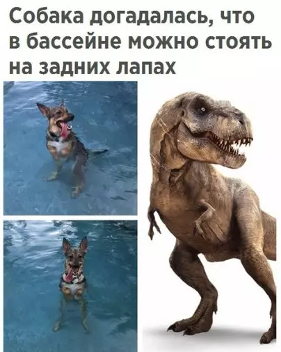 Смешная картинка №252124