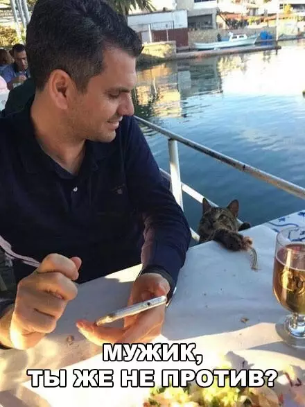 Смешная картинка №202725