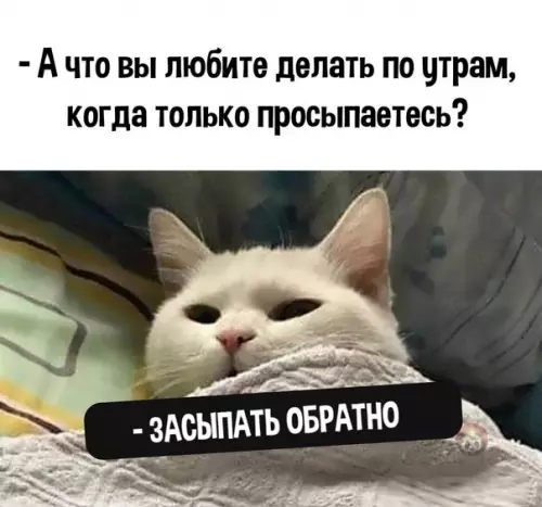 Смешная картинка №549790 Ни с чем не сравнится это ощущение ☺️