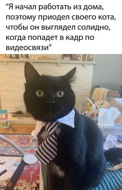 Смешная картинка №478851