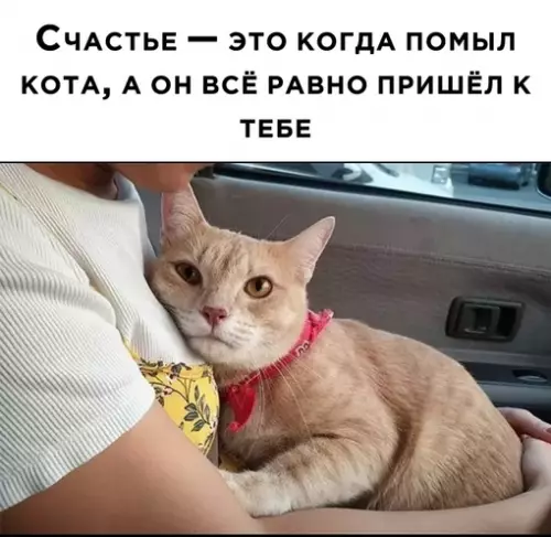 Смешная картинка №697097