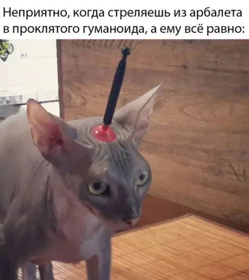 Смешная картинка №393396