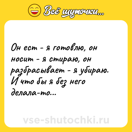 Шутка: Он ест - я готовлю, он носит - я стираю, он разбрасывает - я убираю. И что бы я без него делала-то...