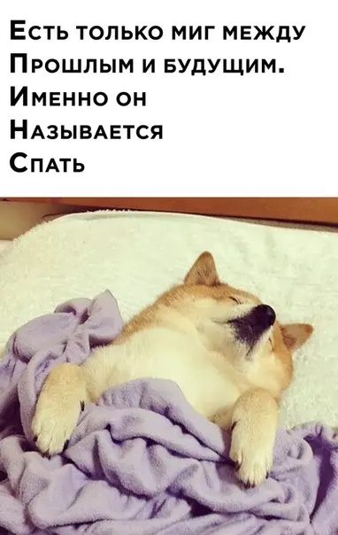 Смешная картинка №526664