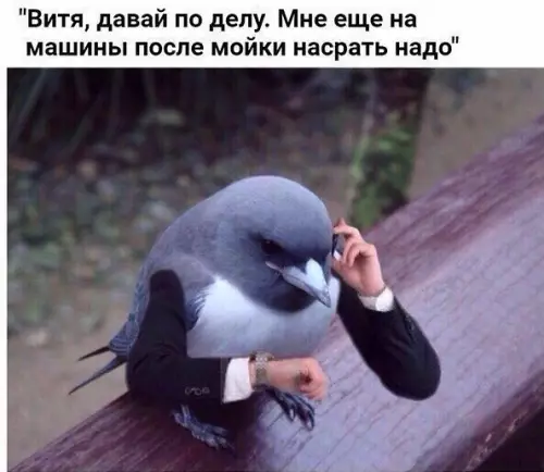 Смешная картинка №195018