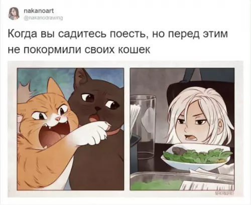 Смешная картинка №739458 Кошки