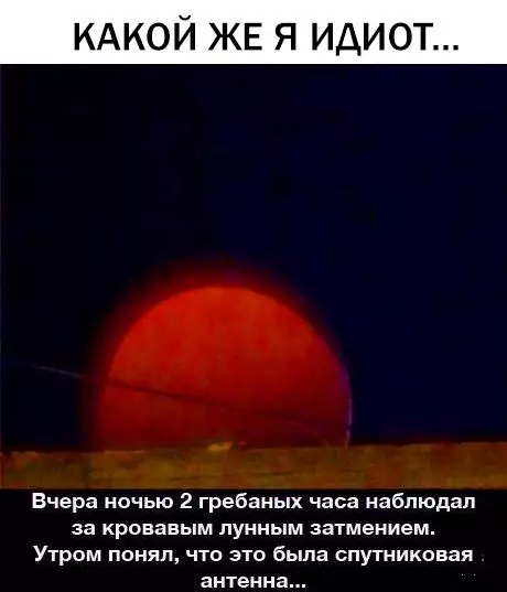 Смешная картинка №297943