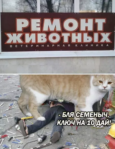 Смешная картинка №262575