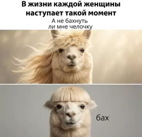 Тот самый момент перемен 💇‍♀️✨ - В жизни каждой женщины наступает такой момент А не бахнуть