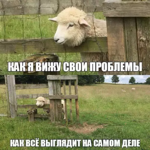 Смешная картинка №262460