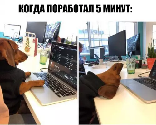 Смешная картинка №270318