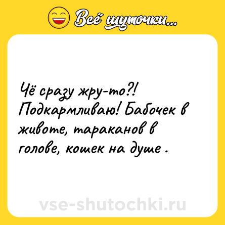 Шутка: Чё сразу жру-то?!<br>Подкармливаю! Бабочек в<br>животе, тараканов в голове, кошек на душе .