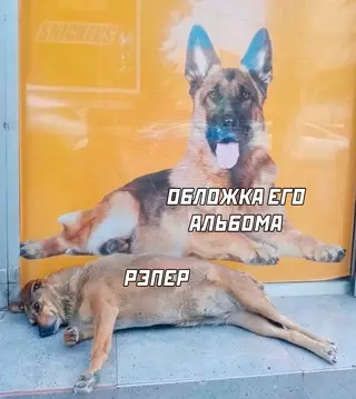 Смешная картинка №688079