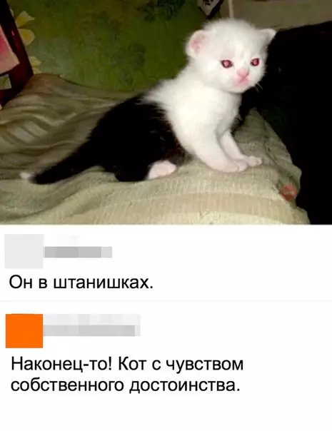 Смешная картинка №268679
