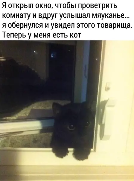 Смешная картинка №490278