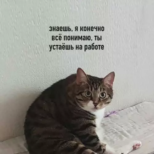 Смешная картинка №521351