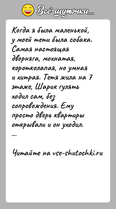 История: Когда я была маленькой, у моей тети была собака. Самая настоящая дворняга, мохнатая, коротколапая, но умная и хитрая. Тетя жила