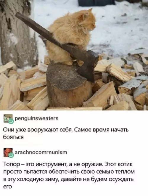 Смешная картинка №676072