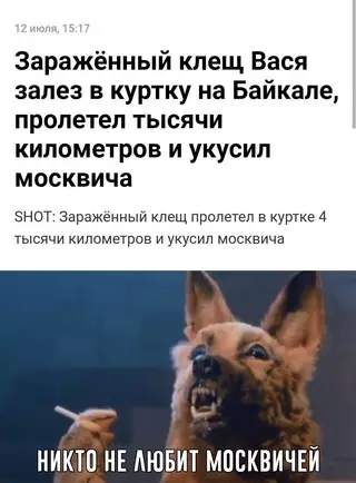 Смешная картинка №690394