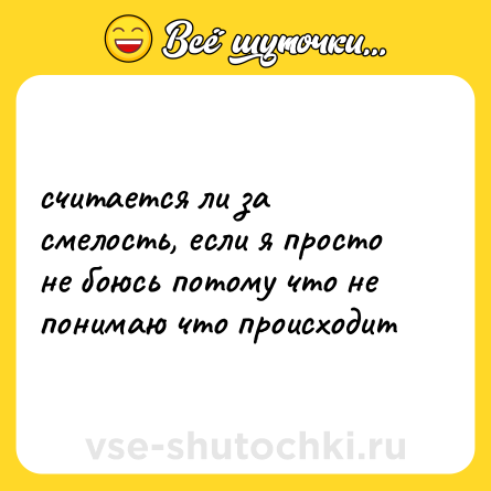 Шутка: считается ли за смелость, если я просто не боюсь потому что не понимаю что происходит