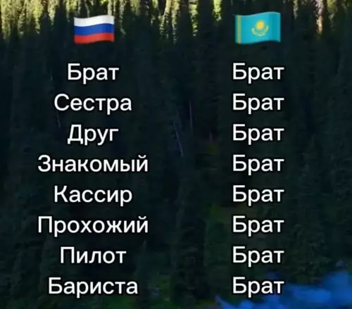 Смешная картинка №782374 Теперь вы знаете казахский на уровне B2