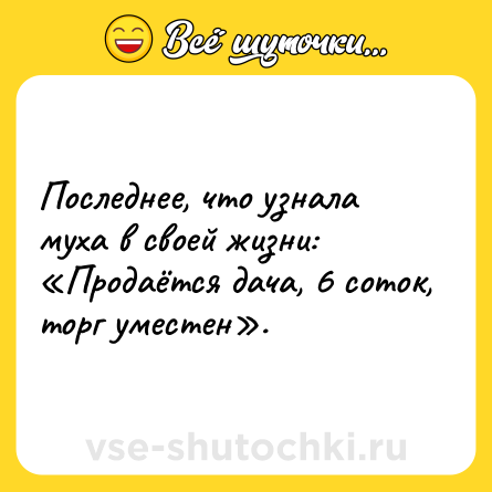 Шутка: Последнее, что узнала муха в своей жизни: «Продаётся дача, 6 соток, торг уместен».