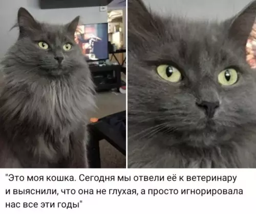 Смешная картинка №612603 А она не промах!