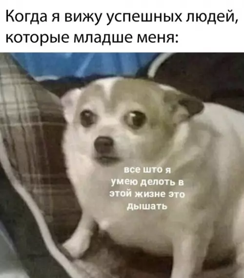 Смешная картинка №310728