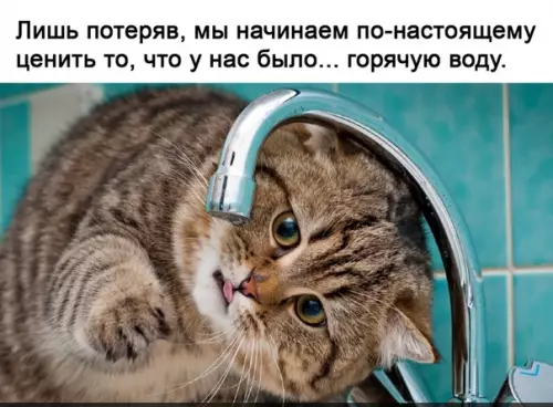 Смешная картинка №505950 А ведь и правда...