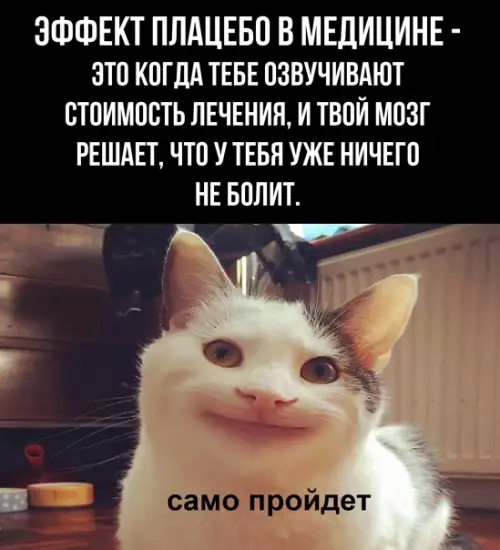 Смешная картинка №563130 И, caмое глaвнoе, пpoходит