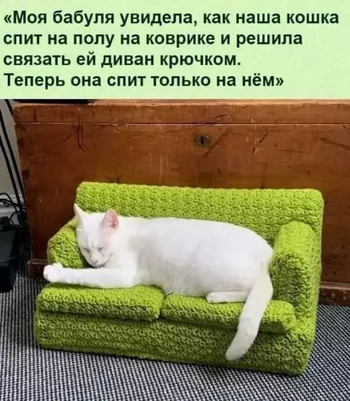 Смешная картинка №786835 Заботливое