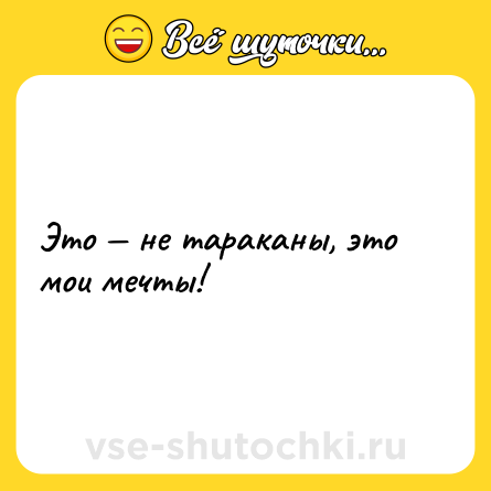Шутка: Это — не тараканы, это мои мечты!